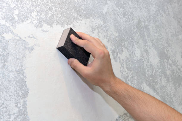 Best Black Mold Removal  in Vley, AL