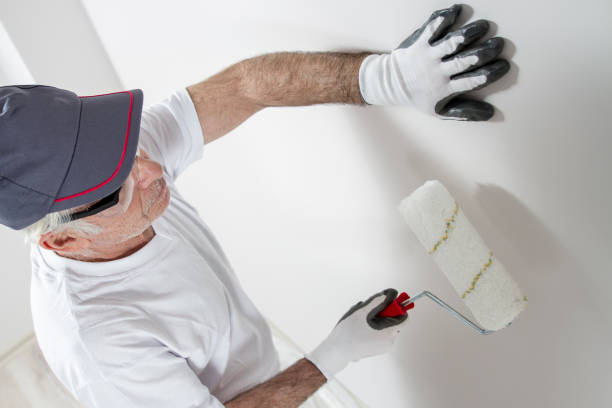Best Emergency Mold Remediation  in Vley, AL