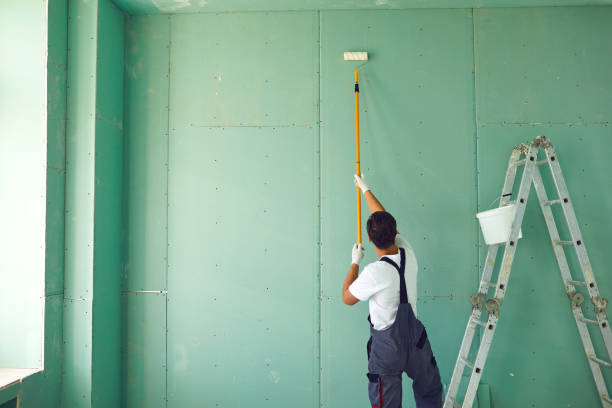 Best Mold Odor Removal Services  in Vley, AL