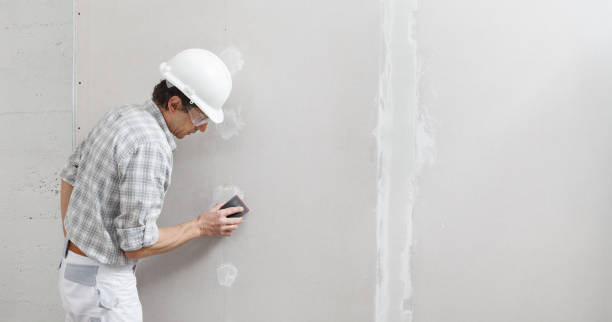 Best Post-Construction Mold Inspection  in Vley, AL