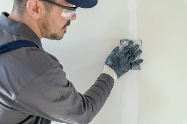 Best Attic Mold Removal  in Vley, AL