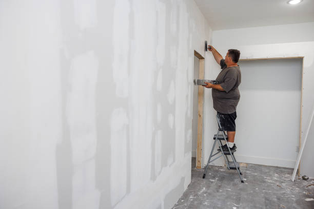 Best Mold Removal for HVAC Installations  in Vley, AL