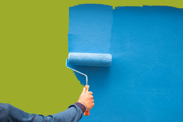 Best Environmental Consulting for Mold Prevention  in Vley, AL