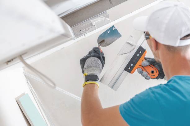 Best Post-Construction Mold Inspection  in Vley, AL